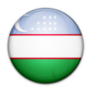 Flag Of Uzbekistan Icon